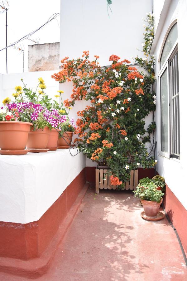 Apartamentos Veedor Cadiz Bagian luar foto